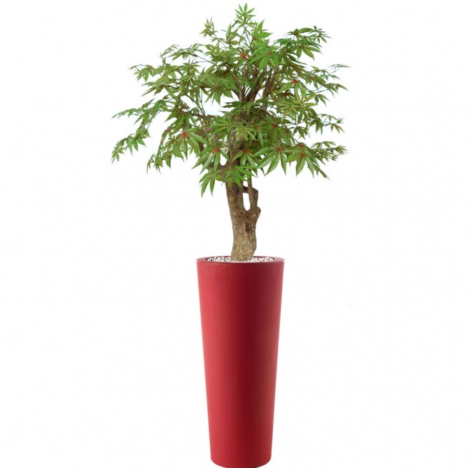 Planta semi-artificiala Ila, Maple Robustina Multicolor - 130 cm